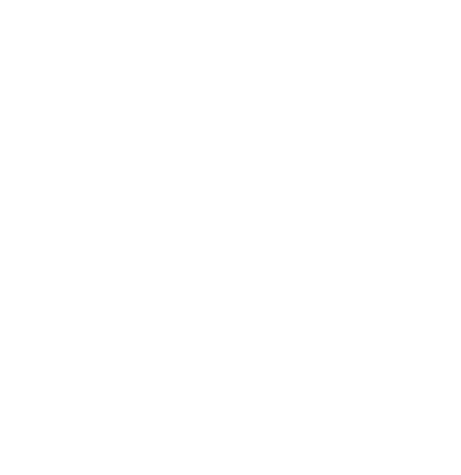 Logo Fort Sinon Rien