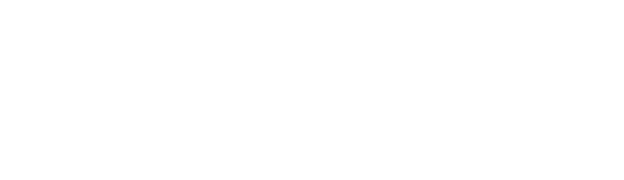 Lifetime Projects